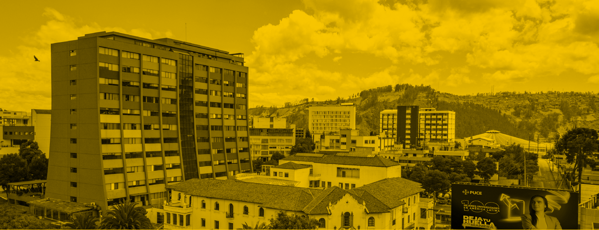 fondo-torres