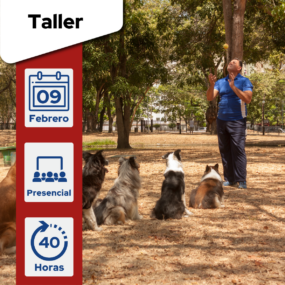 Etología Aplicada Al Adiestramiento Canino