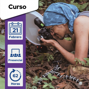 Fotografía de vida silvestre en Yasuní